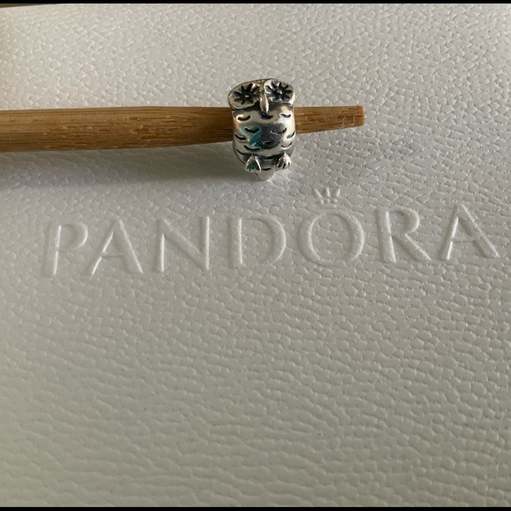 Pandora Owl Charm